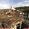 08_45-nest.jpg