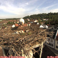 08_55-nest.jpg