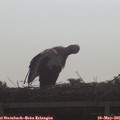 09_00-mast.jpg