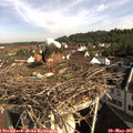 09_05-nest.jpg