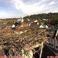 09_10-nest.jpg