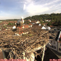 09_15-nest.jpg
