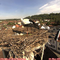 09_30-nest.jpg
