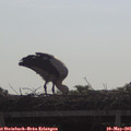 09_35-mast.jpg