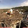 09_35-nest.jpg