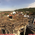 09_40-nest.jpg