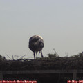 09_45-mast.jpg