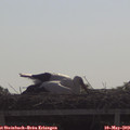 10_00-mast.jpg