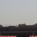 10_05-mast.jpg