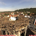 10_05-nest.jpg