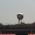 10_25-mast.jpg