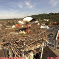 10_35-nest.jpg