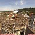 10_40-nest.jpg