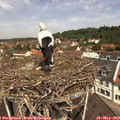 11_40-nest.jpg