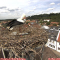 13_20-nest.jpg