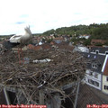13_30-nest.jpg