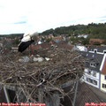 13_35-nest.jpg