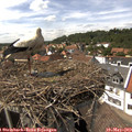 15_00-nest.jpg