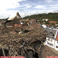 15_05-nest.jpg