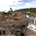 15_10-nest.jpg