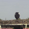 16_05-mast.jpg