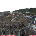 17_55-nest.jpg
