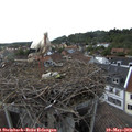 18_10-nest.jpg