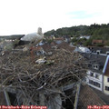18_40-nest.jpg