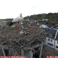 18_45-nest.jpg