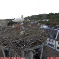 18_50-nest.jpg