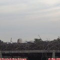 19_30-mast.jpg