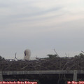 19_35-mast.jpg