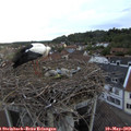 20_00-nest.jpg