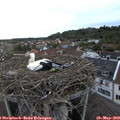 20_10-nest.jpg