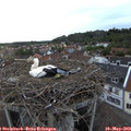 20_15-nest.jpg