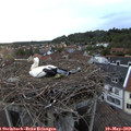 20_20-nest.jpg