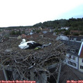 20_45-nest.jpg