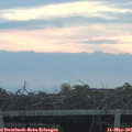 06_00-mast.jpg