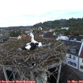 06_00-nest.jpg