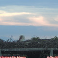06_05-mast.jpg
