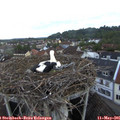 06_05-nest.jpg