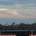 06_10-mast.jpg