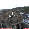 06_10-nest.jpg
