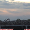 06_15-mast.jpg