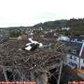 06_15-nest.jpg