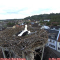 06_20-nest.jpg