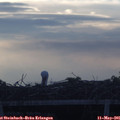 06_25-mast.jpg
