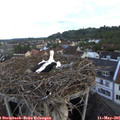 06_25-nest.jpg