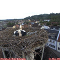 06_35-nest.jpg