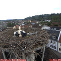 06_40-nest.jpg